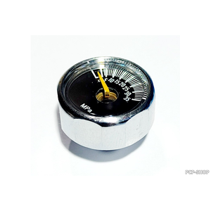 VL-12/21/100. Манометр